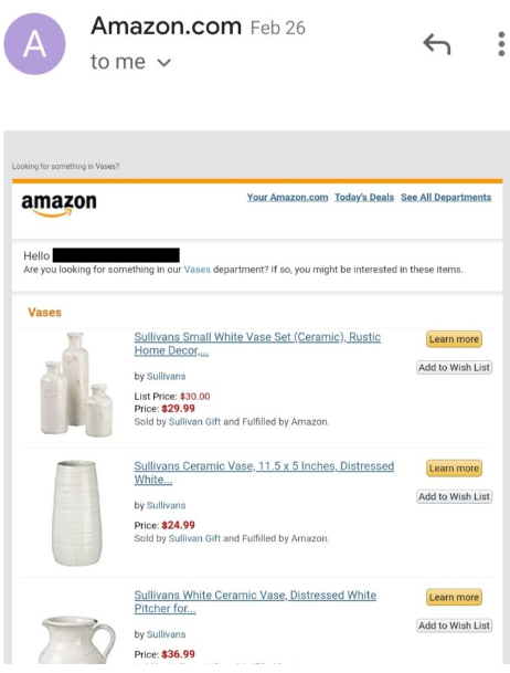Amazon email example