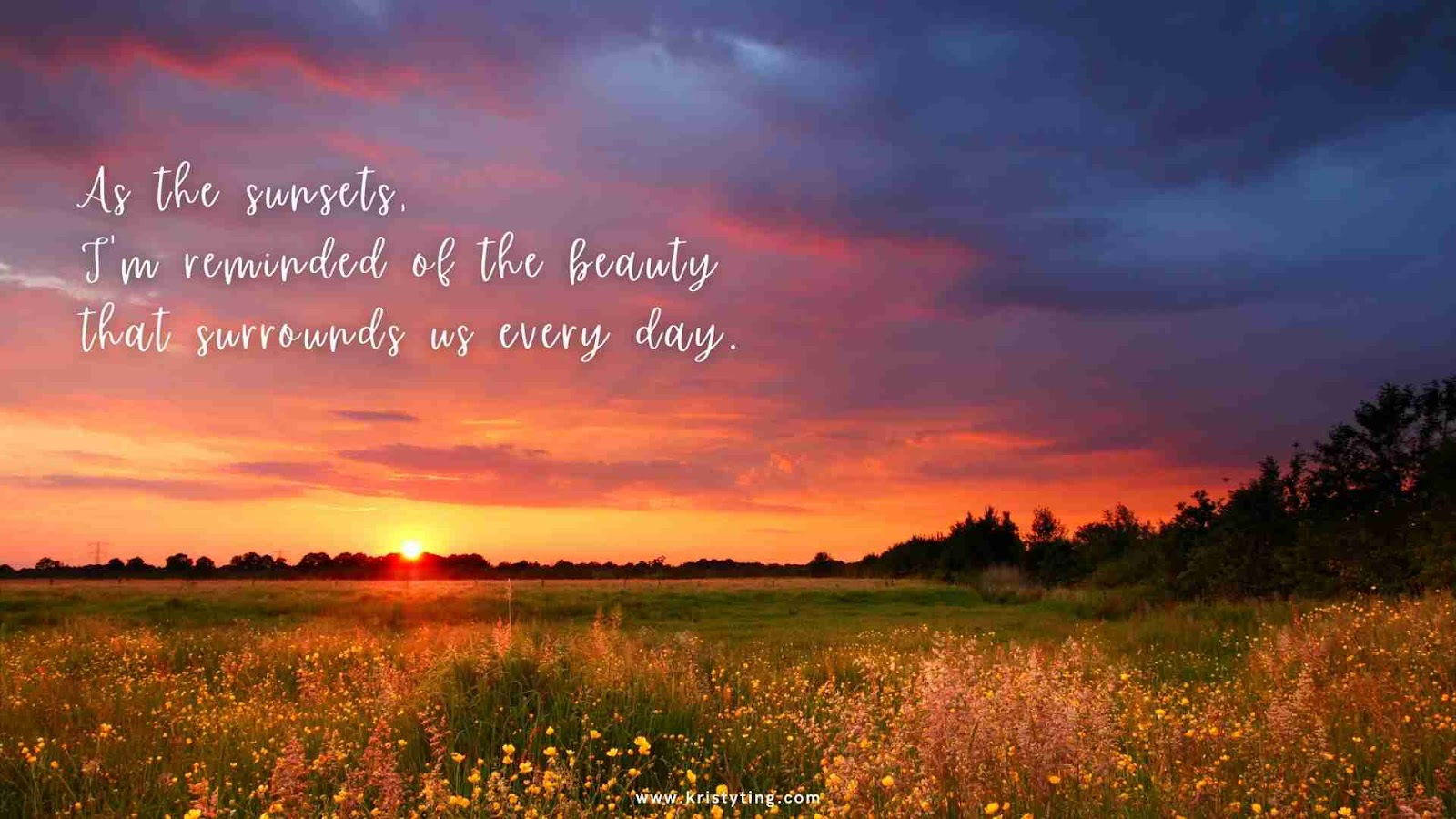 Instagram captions for sunsets: Sunset over a field of flowering wildflowers with striking crimson and purple clouds.