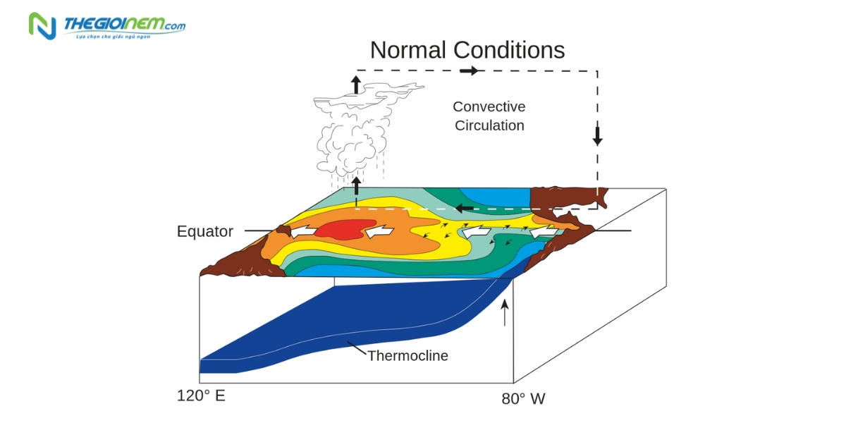 El Nino là gì? Tác động của hiện tượng El Nino
