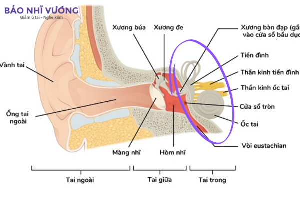 cau-tao-tai