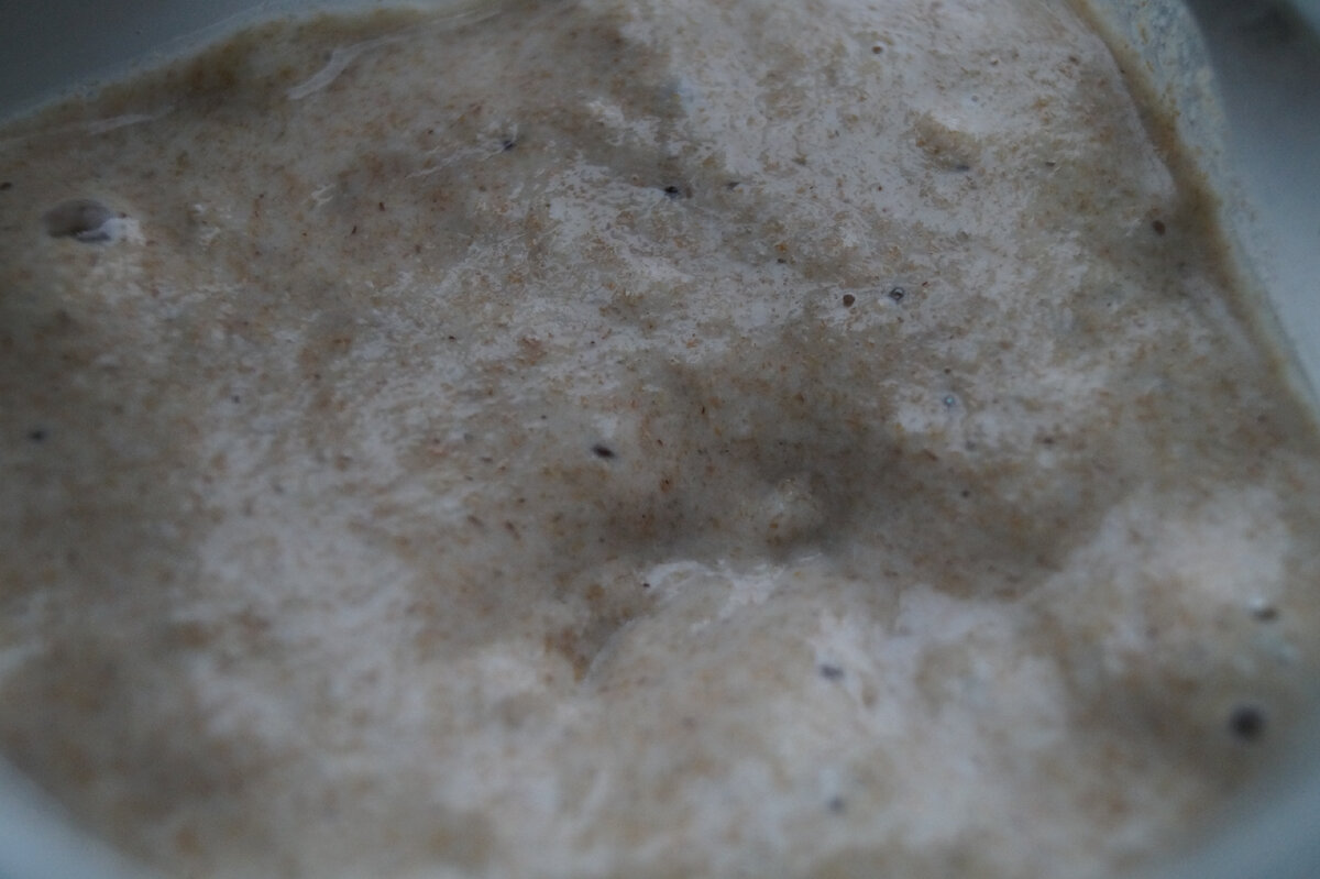 Так выглядит поверхность хлебной закваски, сделанной на ржаной обдирной муке