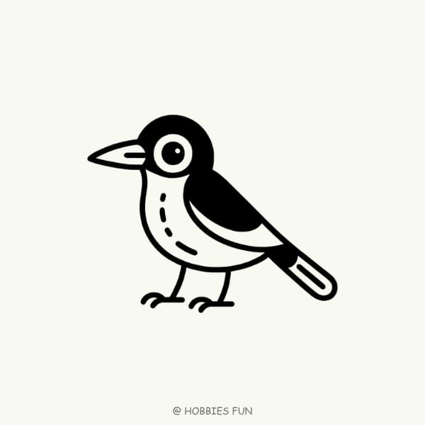 Easy Magpie Drawing