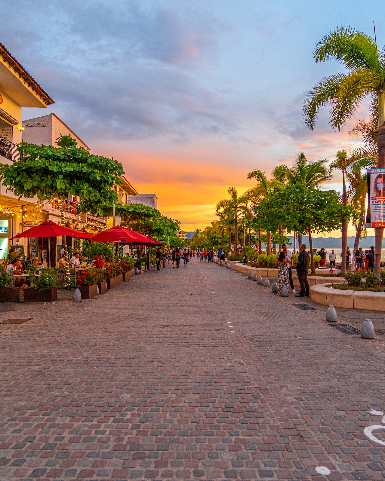 Colorful buildings and cobblestone streets in the historic city center of Puerto Vallarta, showcasing its authentic Mexican charm.