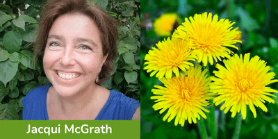 Jacqui McGrath and Dandelion plants