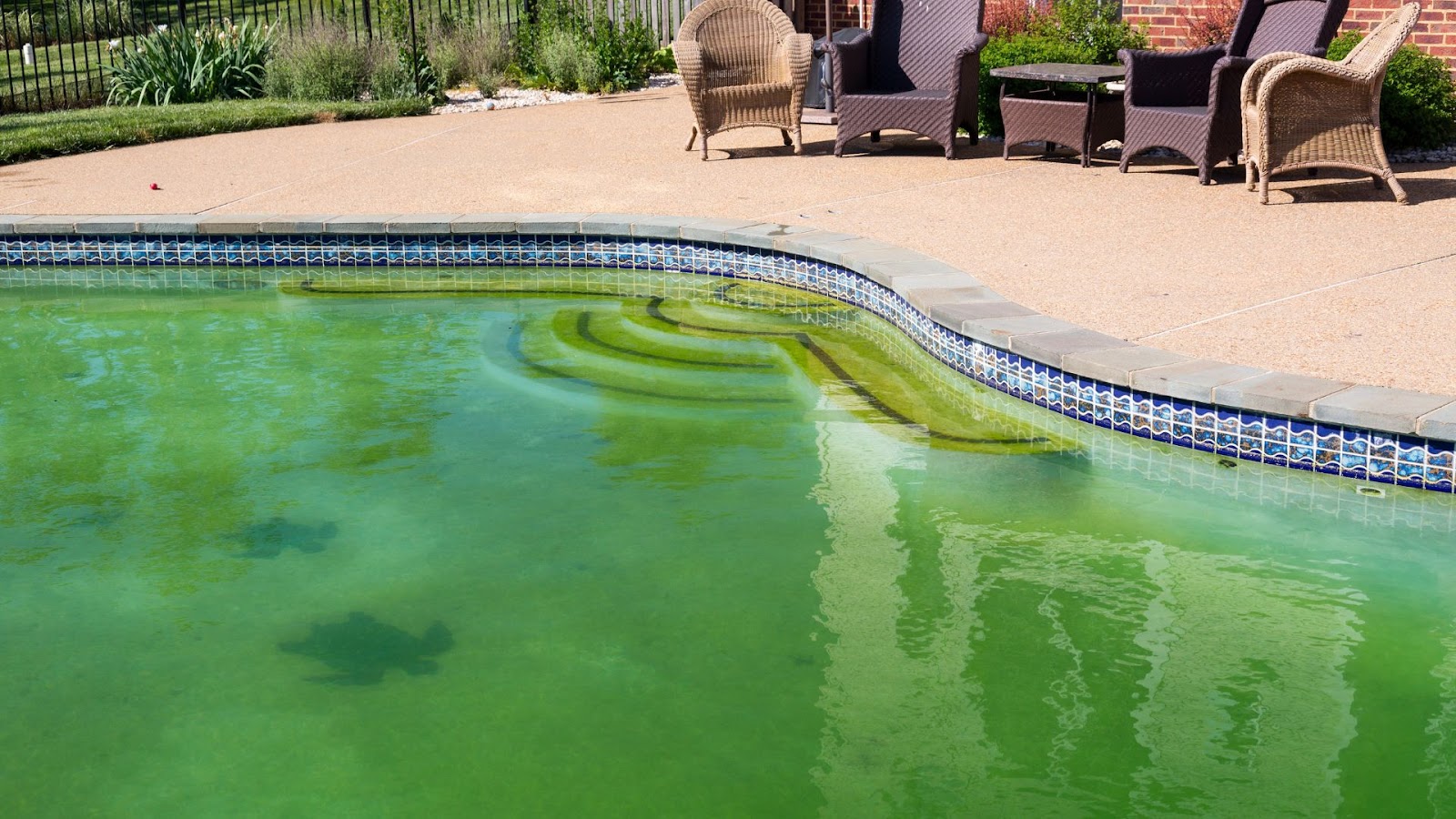 Evaluate Pool Water Quality
