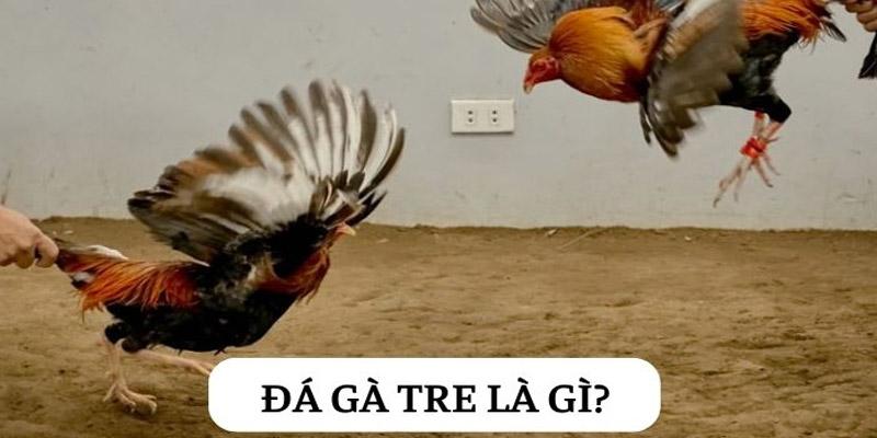 m4d9VIZExnCrDEmXF1 nXxytKUMmEGiz5J6Zj6yeIU1JF30fEJfMQ2w3aJ1f7m yH8qHP5L2jizxTicGB0TQiXnQvqPH4OFI79795ftzQ6Hd juQafcKVOj8serRQ2XdhGncRdBhwMfRJUHfyKPzBlU