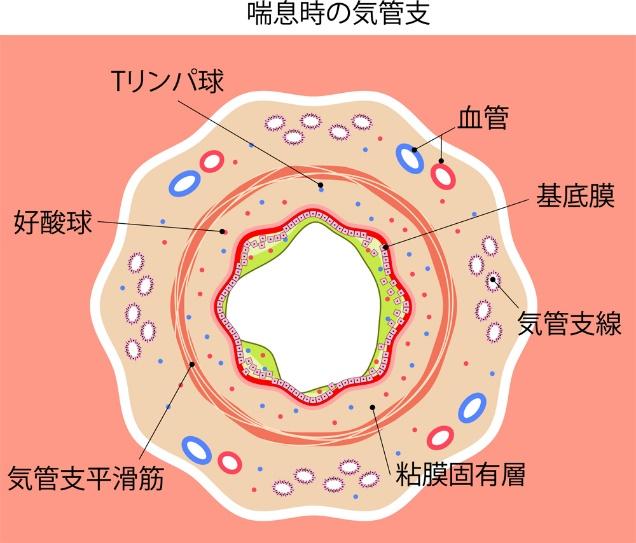 ダイアグラム

自動的に生成された説明