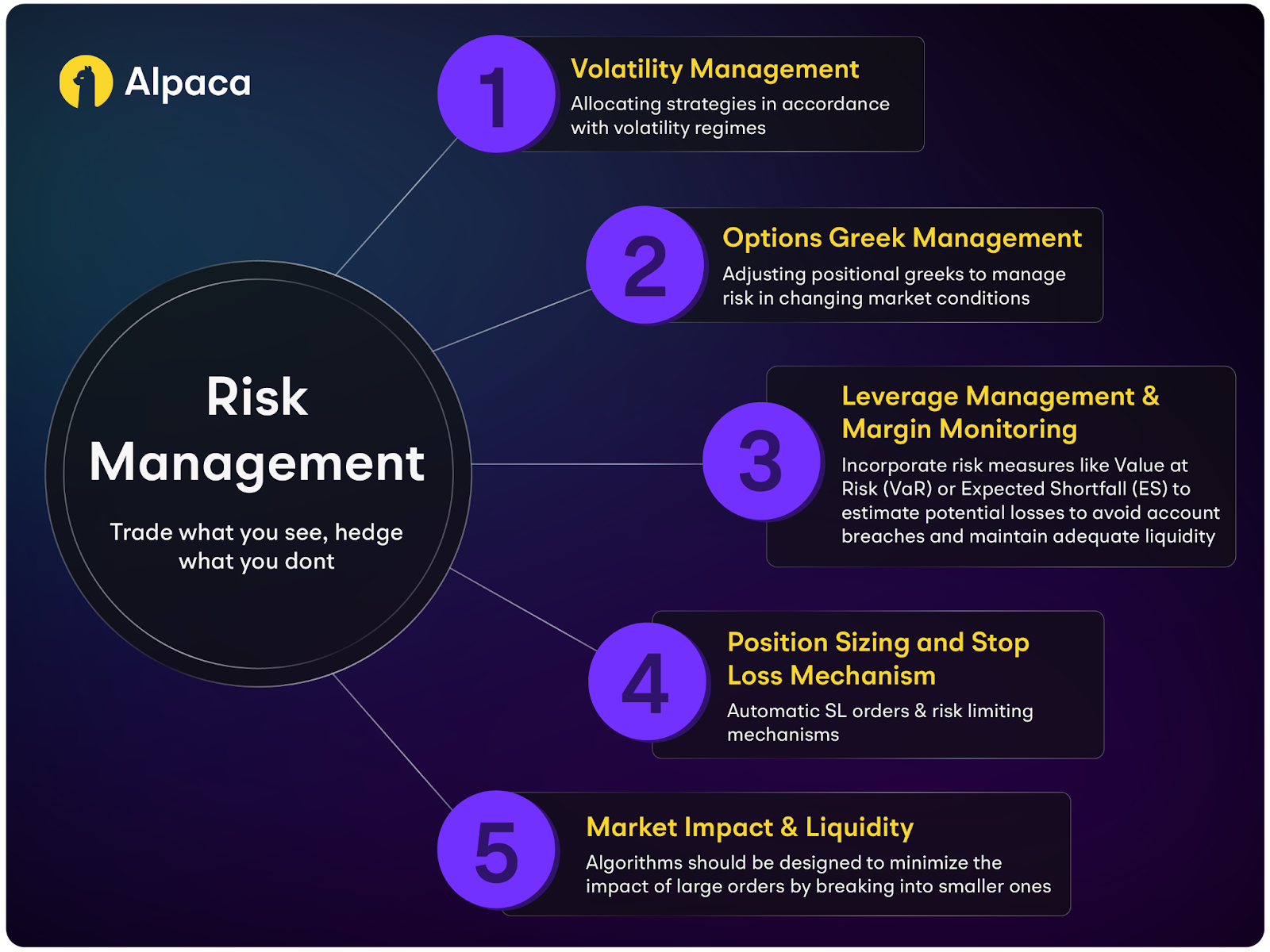 A Guide to Algorithmic Options Trading