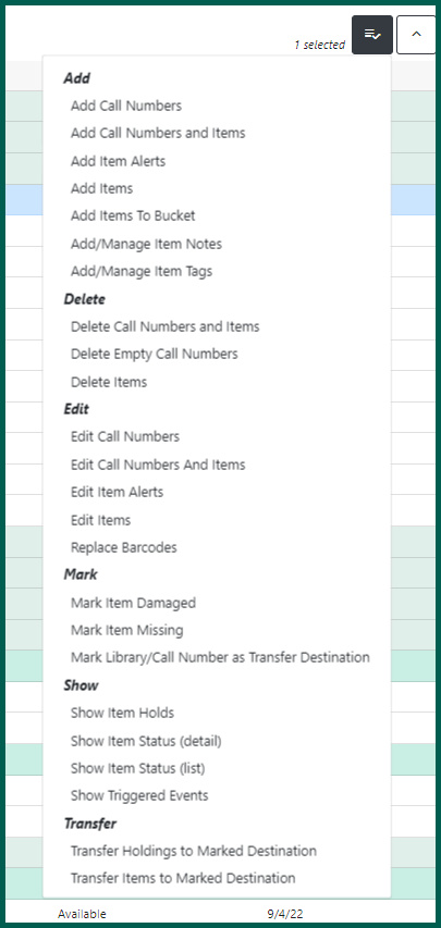 Holdings view menu after configuration