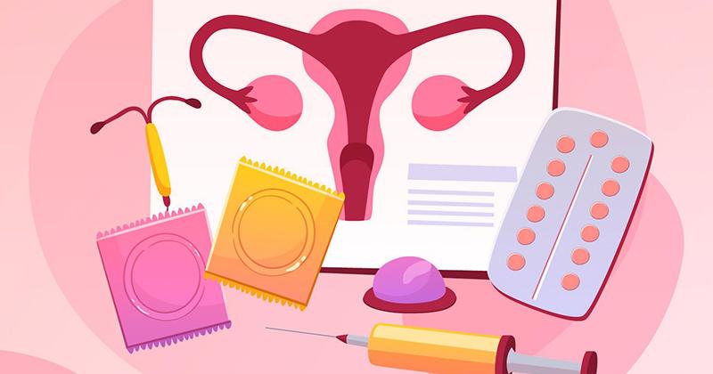 Guia internacional sobre saúde reprodutiva tem participação de professora  da USP – Jornal da USP