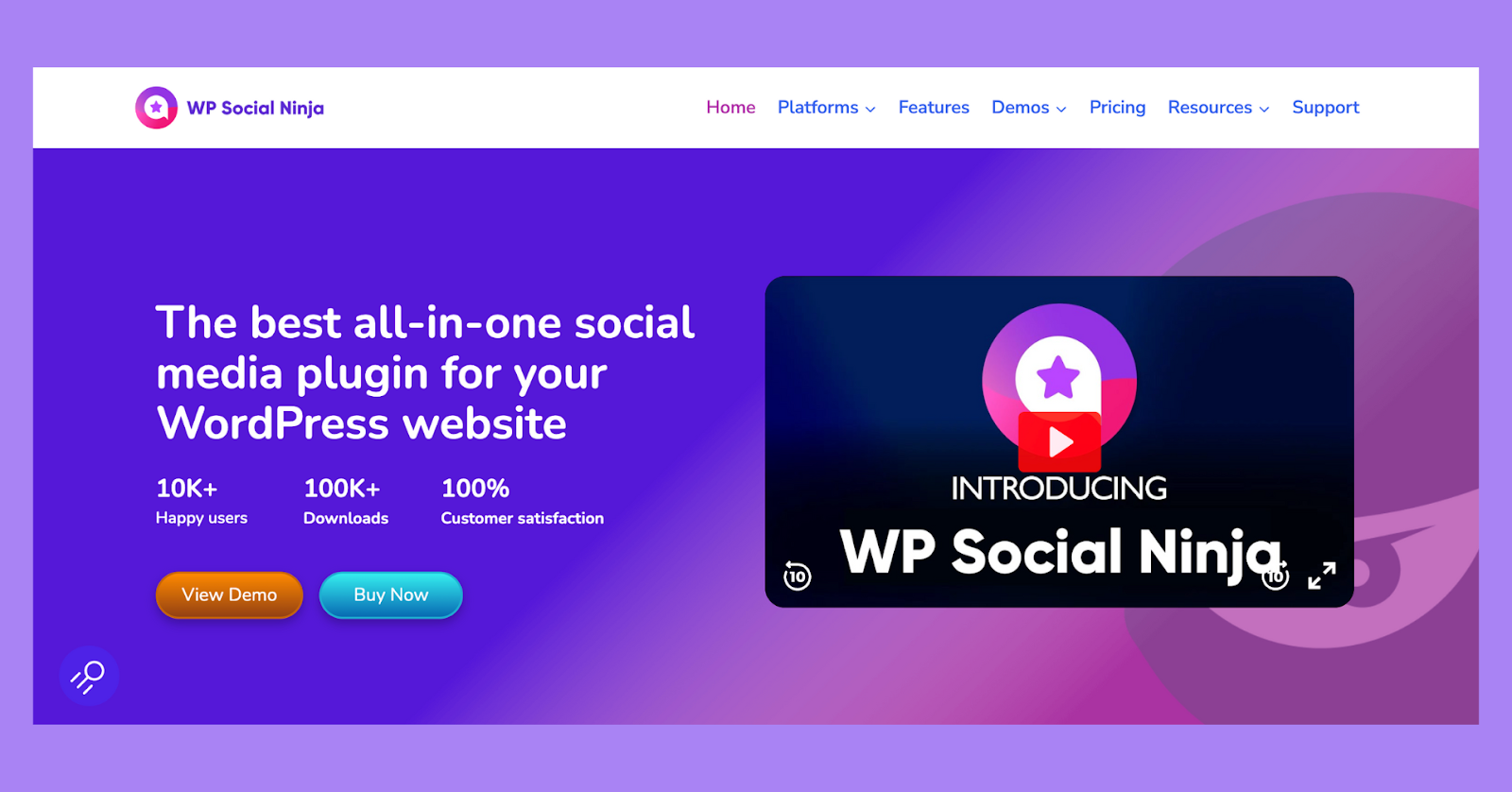 WP Social Ninja, an all-in-one social media widget.