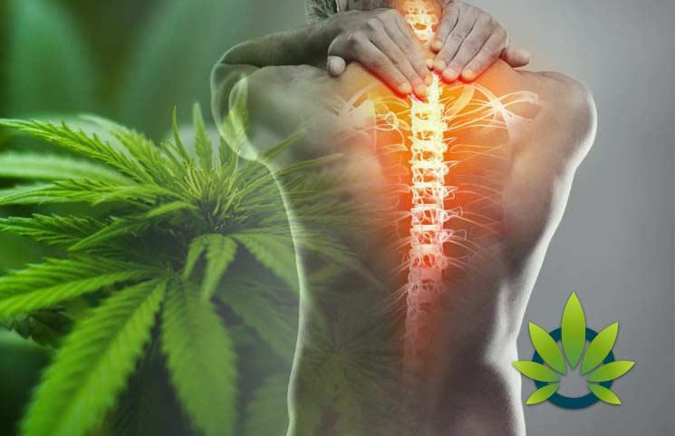 How to use CBD oil for pain