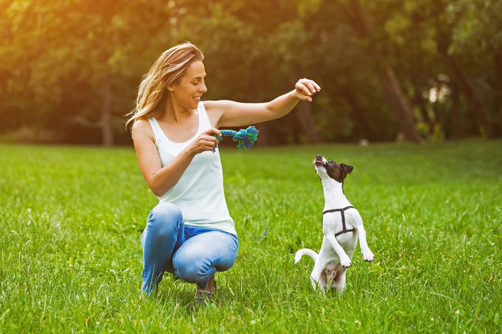 A girl holding her hand out to train a dog