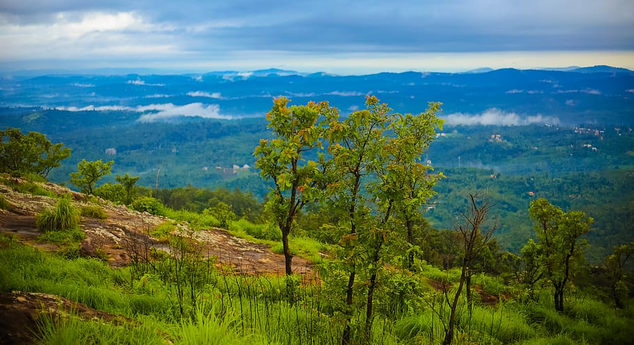 Wayanad mountains