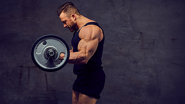 Muscle Building Success Strategies