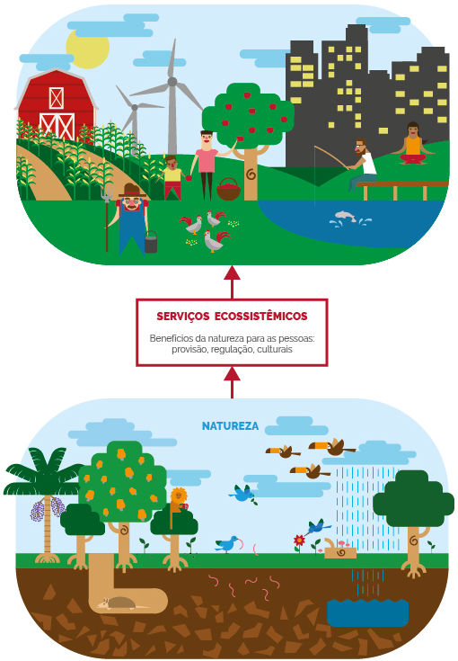 https://antigo.mma.gov.br/images/imagens/biodiversidade/Economia%20dos%20Ecossistemas%20e%20da%20Biodiversidade/Imagens_Videos/TEEB_infosSE_FuncoesEco_cutted.png