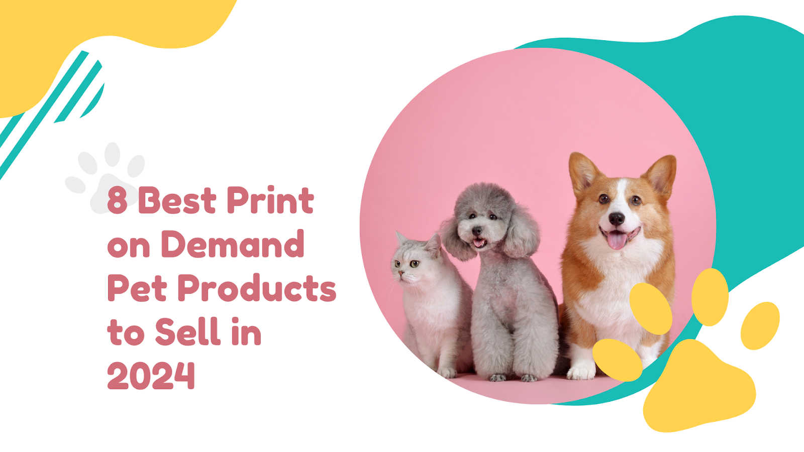 print on demand pet products