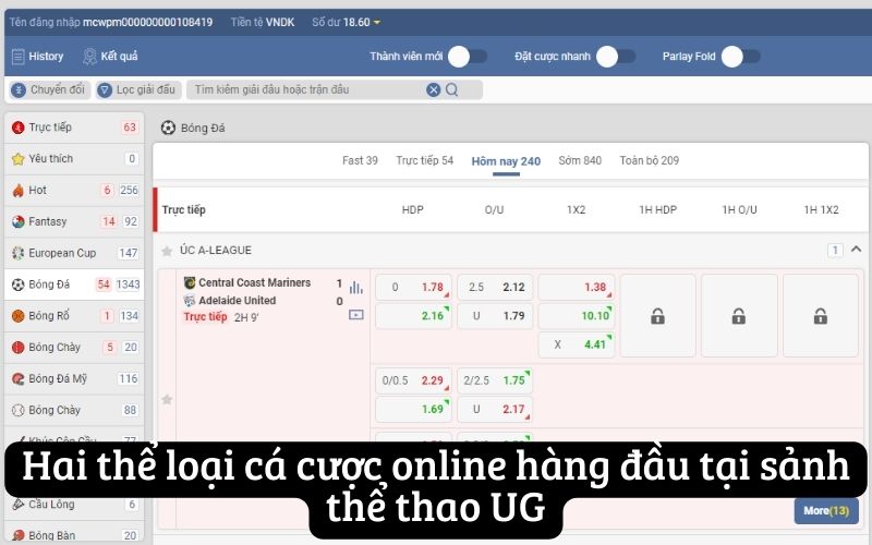 Hai thể loại cá cược online hàng đầu tại sảnh thể thao UG