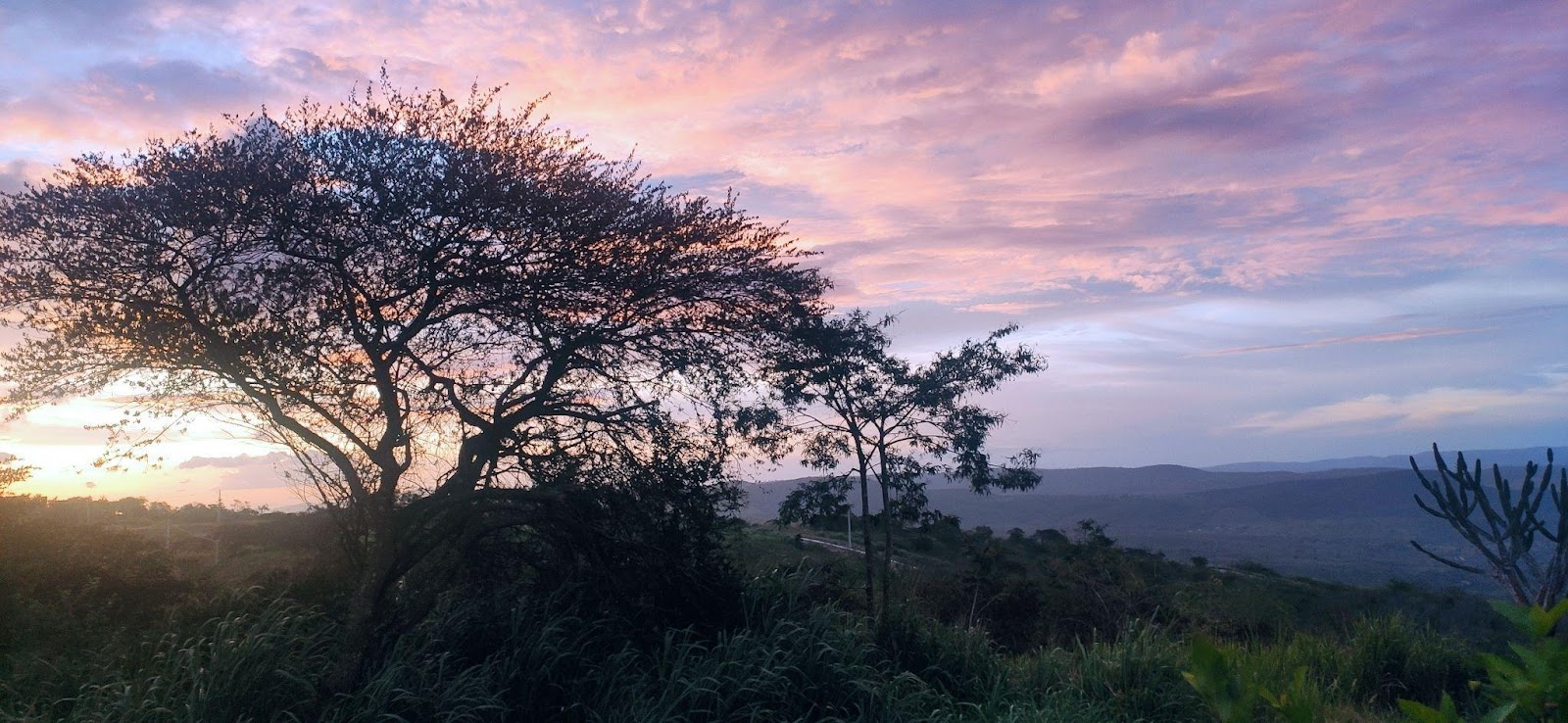 Paisagem rural de Gravatá, PE. Em destaque, aparece uma árvore no lado esquerdo da foto, de frente para a região montanhosa tomada pela vegetação nativa. O céu ao pôr do sol tem tons de rosa e azul