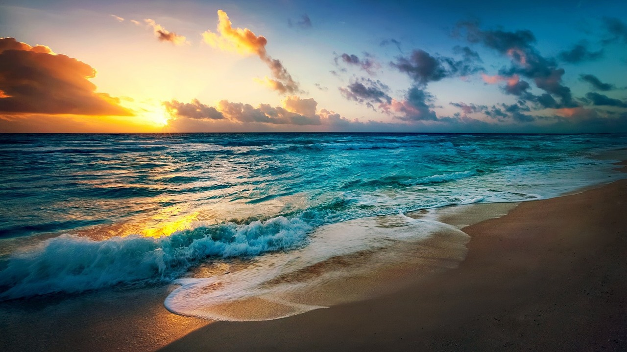 a wide shot of a rich blue ocean beneath a sunset
