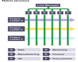 Organisation Structure and Employee 