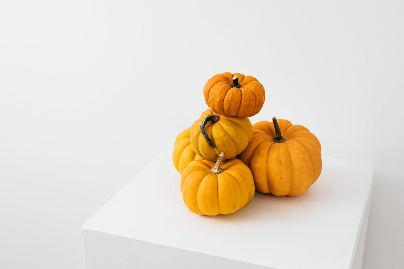 A group of pumpkins

Description automatically generated with low confidence