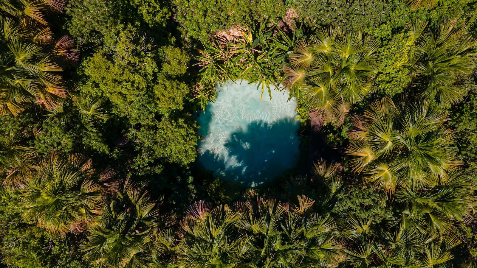 Fervedouro do Jalapão visto de cima. Círculo de águas azuis em meio à vasta vegetação local.