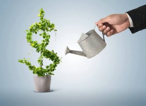 đầu tư tài chính hiệu quả