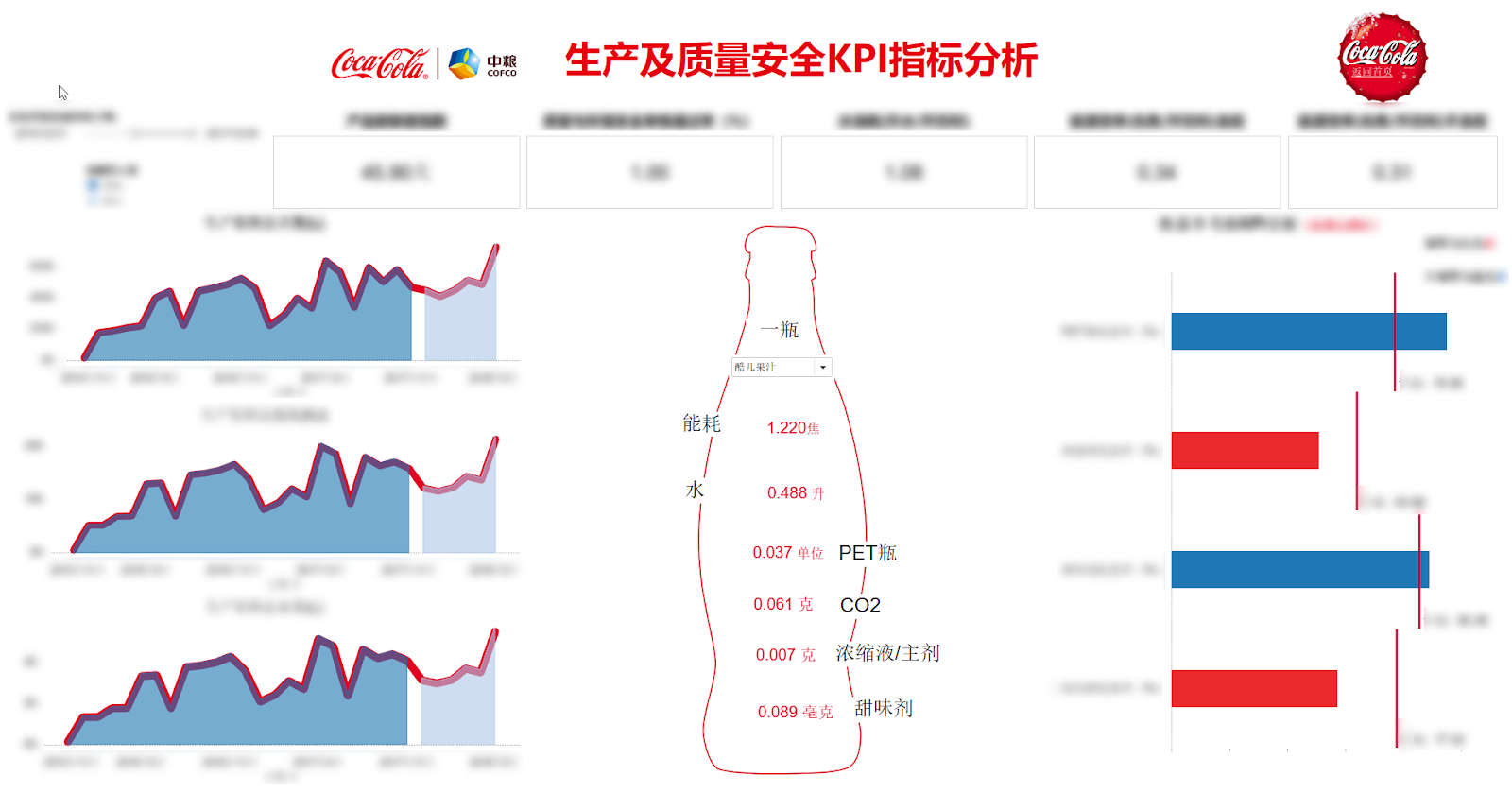 Coca-Cola Bottling Co. ERP