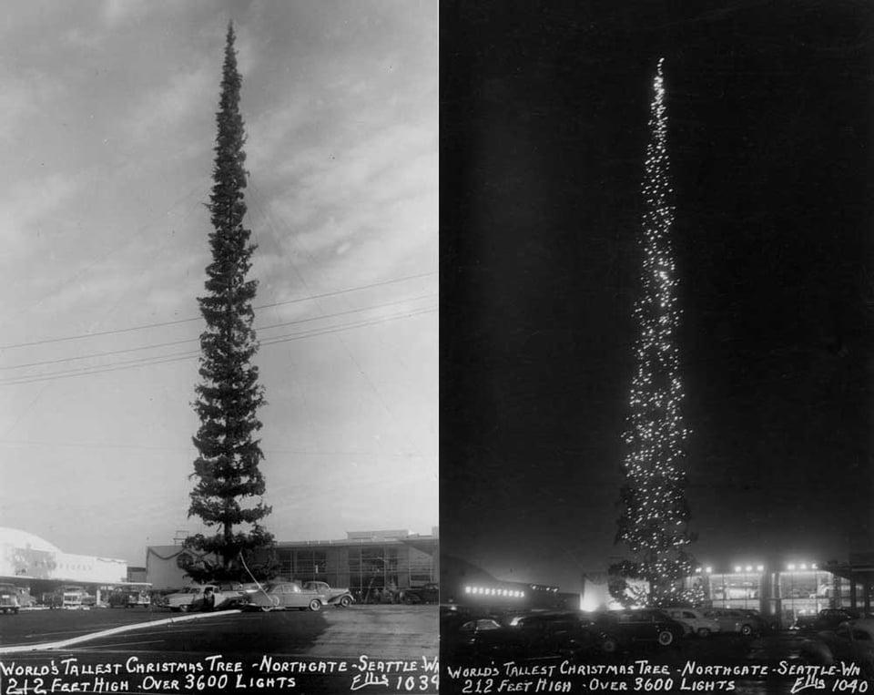 r/ThatsInsane - a tall christmas tree with lights