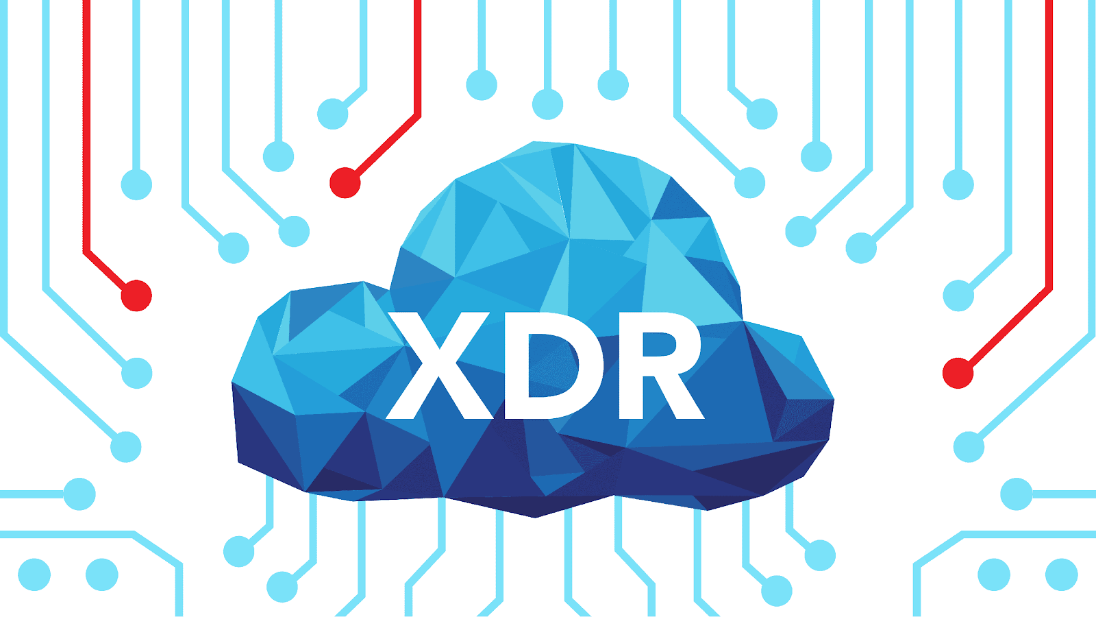 A beginner's Guide to XDR: Extended Detection & Response - Polymer