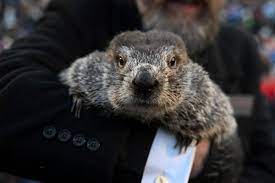 Groundhog Day 2024: Will the groundhog see its shadow? What to know
