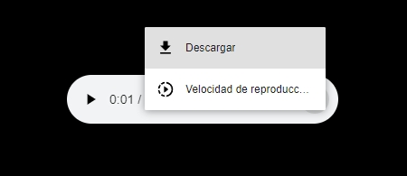 Descargar el Audio