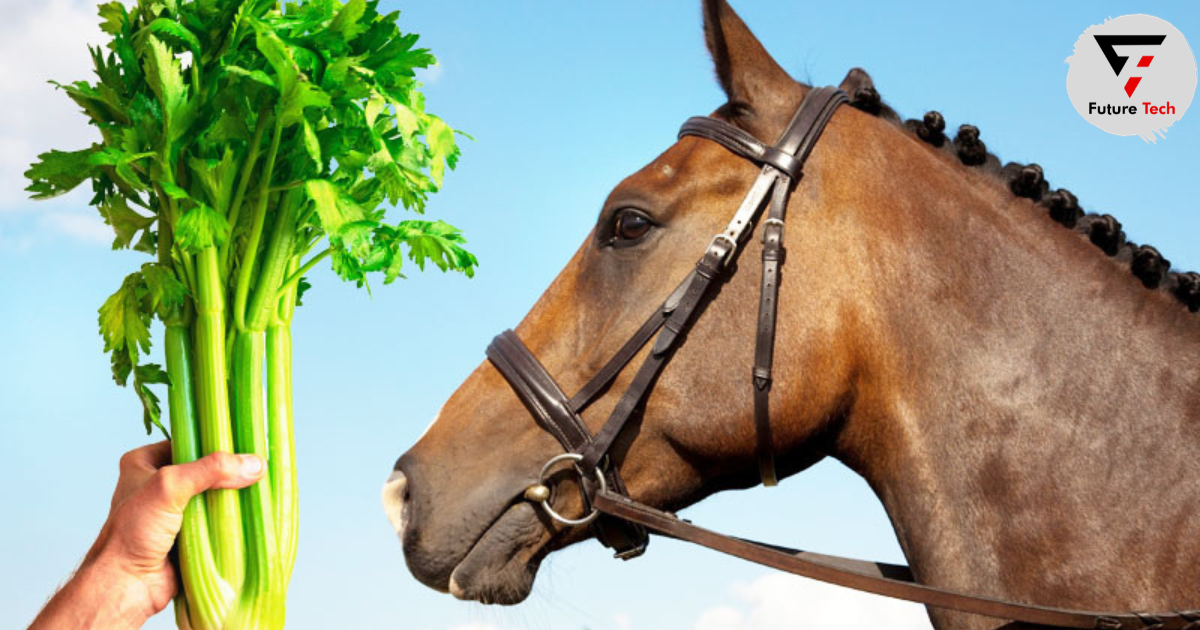 Can Horses Eat Celery