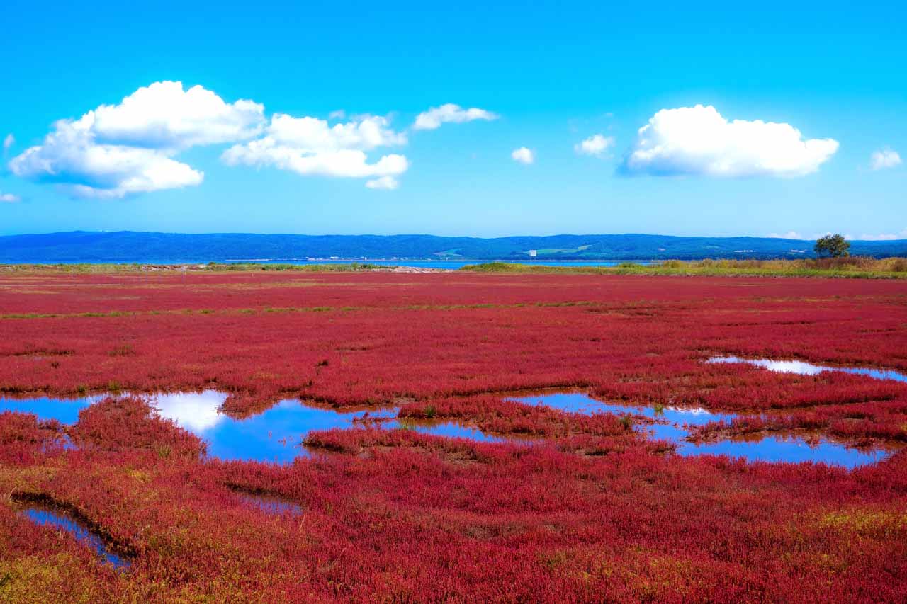 2.網走市「能取湖」