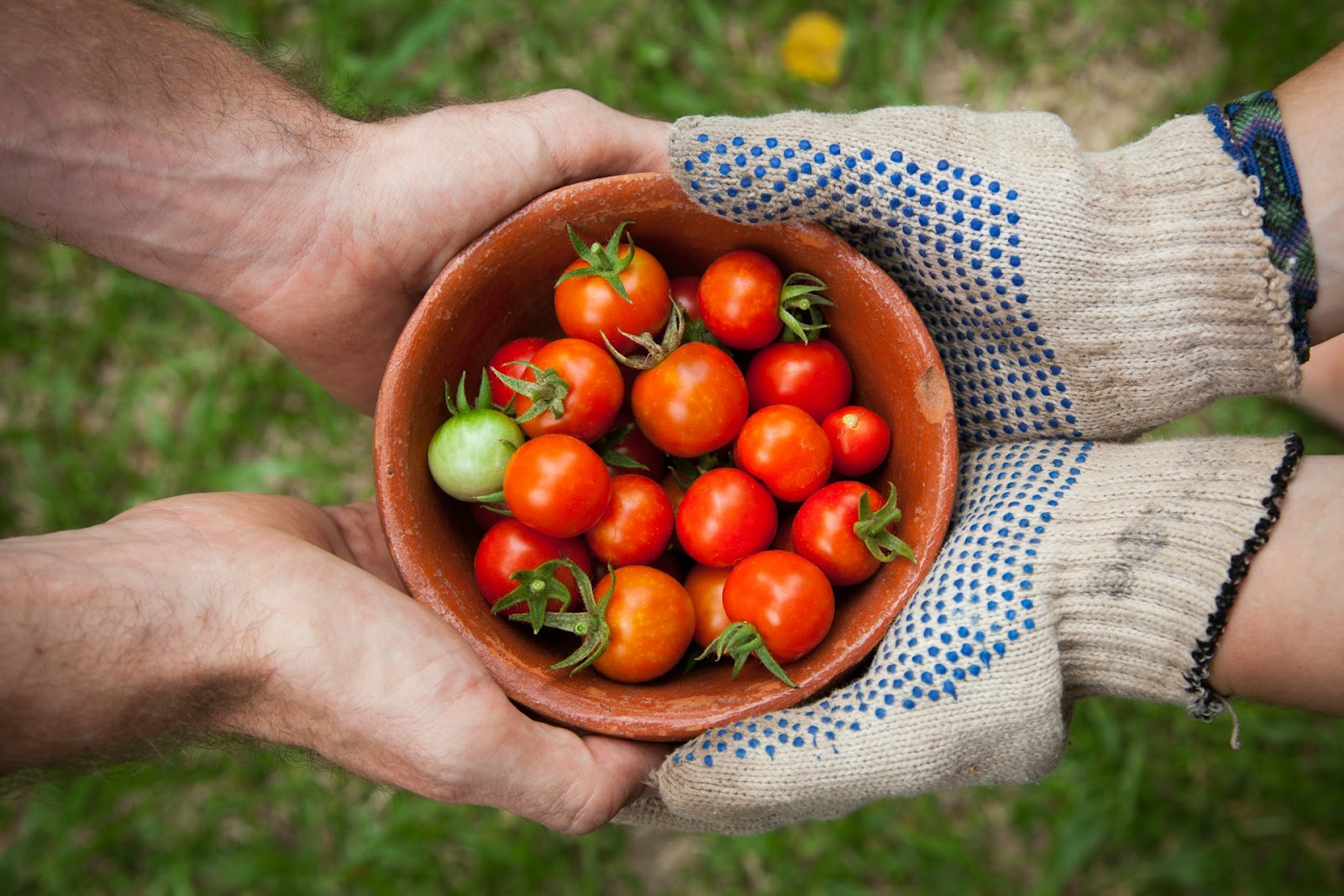 Asigurarea certificării ecologice