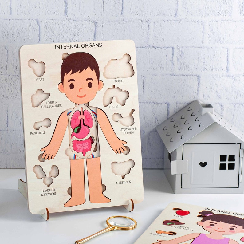 Gifts for kids Human body puzzle jigsaw puzzle Kids gifts image 1