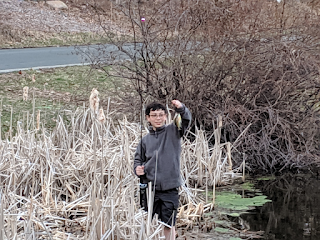 10 year old boy with glasses standing at the edge of a pond, holding a fishing rod in his right hand, and holding up a small fish from a line with his left hand.  To one side of him are reeds and cattails. To the other is water and lily pads. Behind him is brush growing at the edge of the lake.  Further behind the pond is a small road.