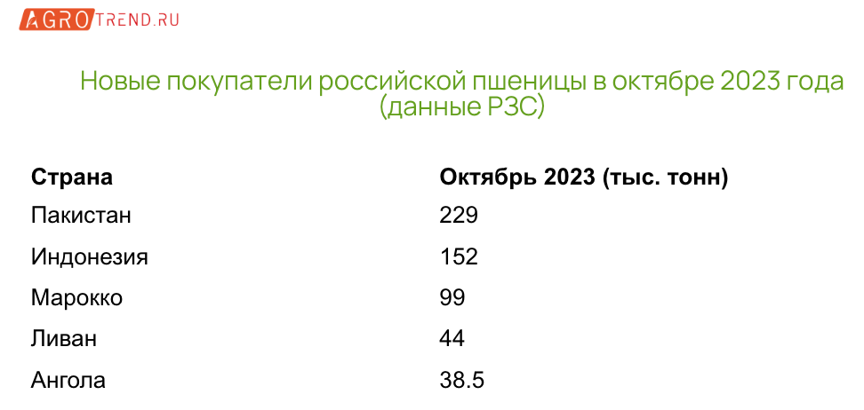 Экспорт зерна: итоги октября 2023 года