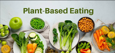plant based diets, what are the best diets, good diet habits