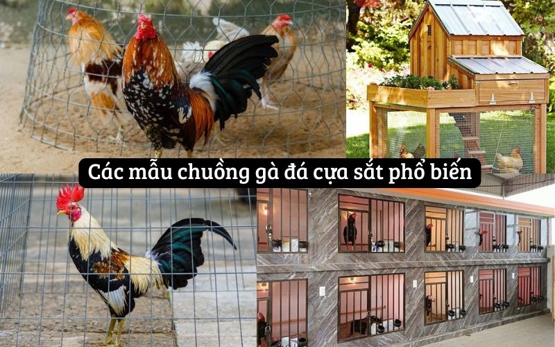 Các mẫu chuồng gà đá cựa sắt phổ biến