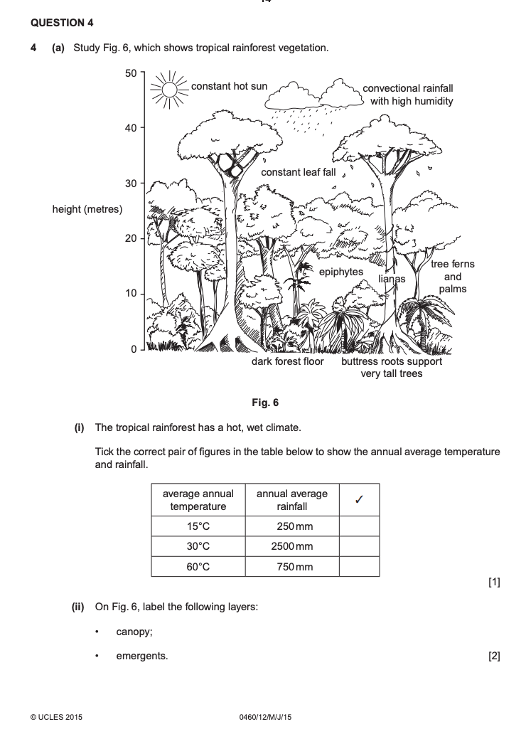 iGCSE Geography revision notes:The Equatorial Climate and Rainforests
