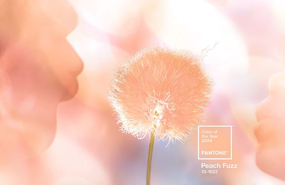 Peach Fuzz - a Cor do Ano para 2024.