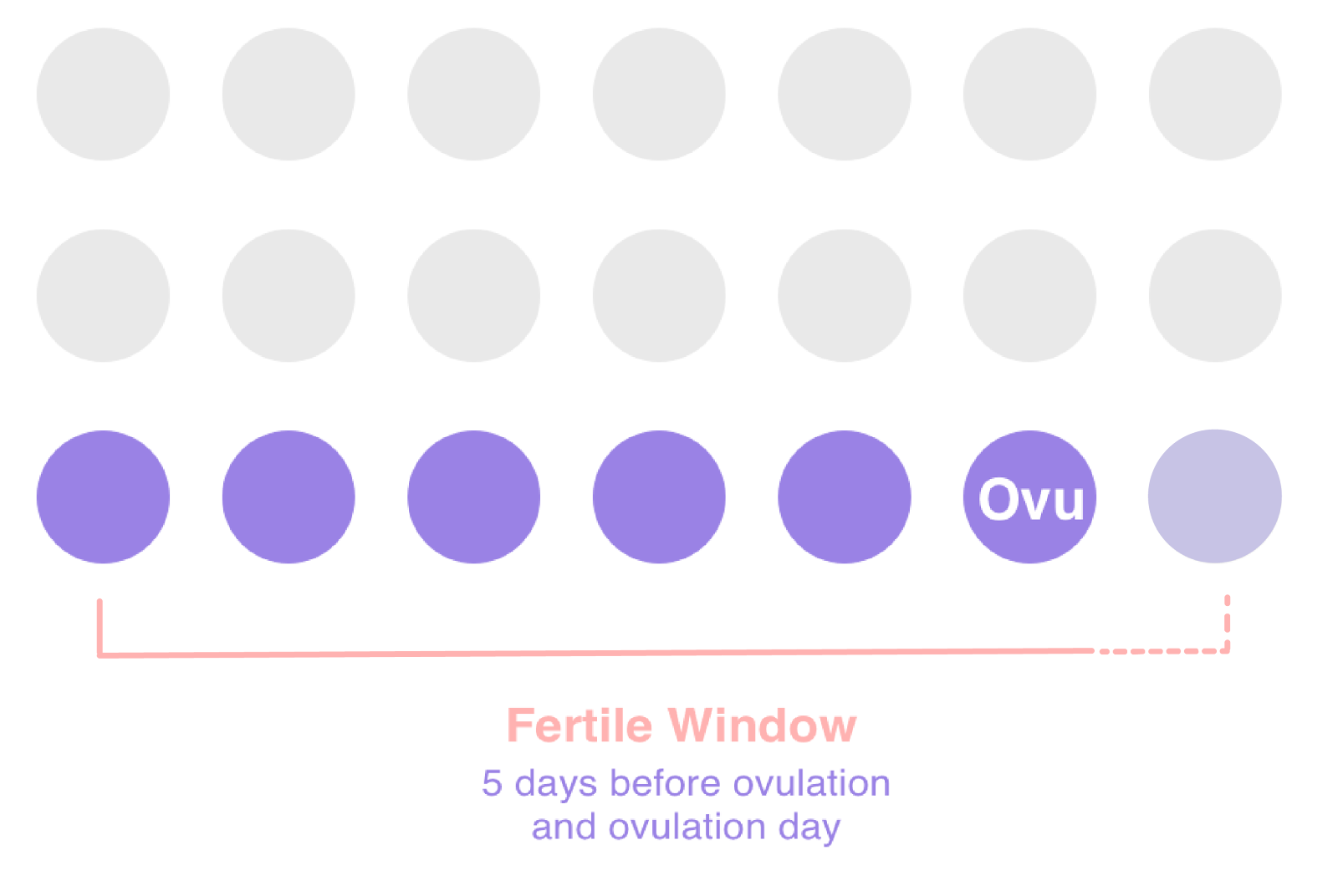 Timing sex during fertile window