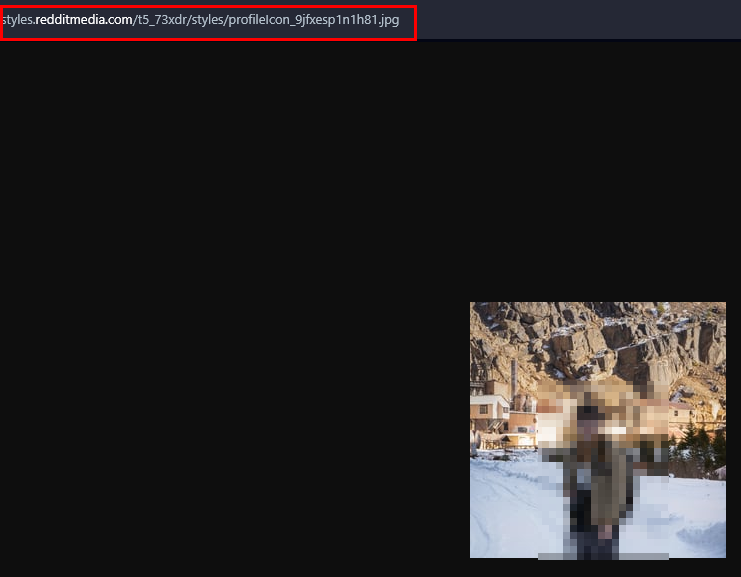 Figure 5 - Open Reddit user profile image in a new web browser tab and save it to a local computer