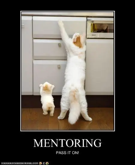 A cat stretching against a set of cabinets, next to a similarly colored kitten also stretching on the cabinets.

Caption: Mentoring

Pass it on!