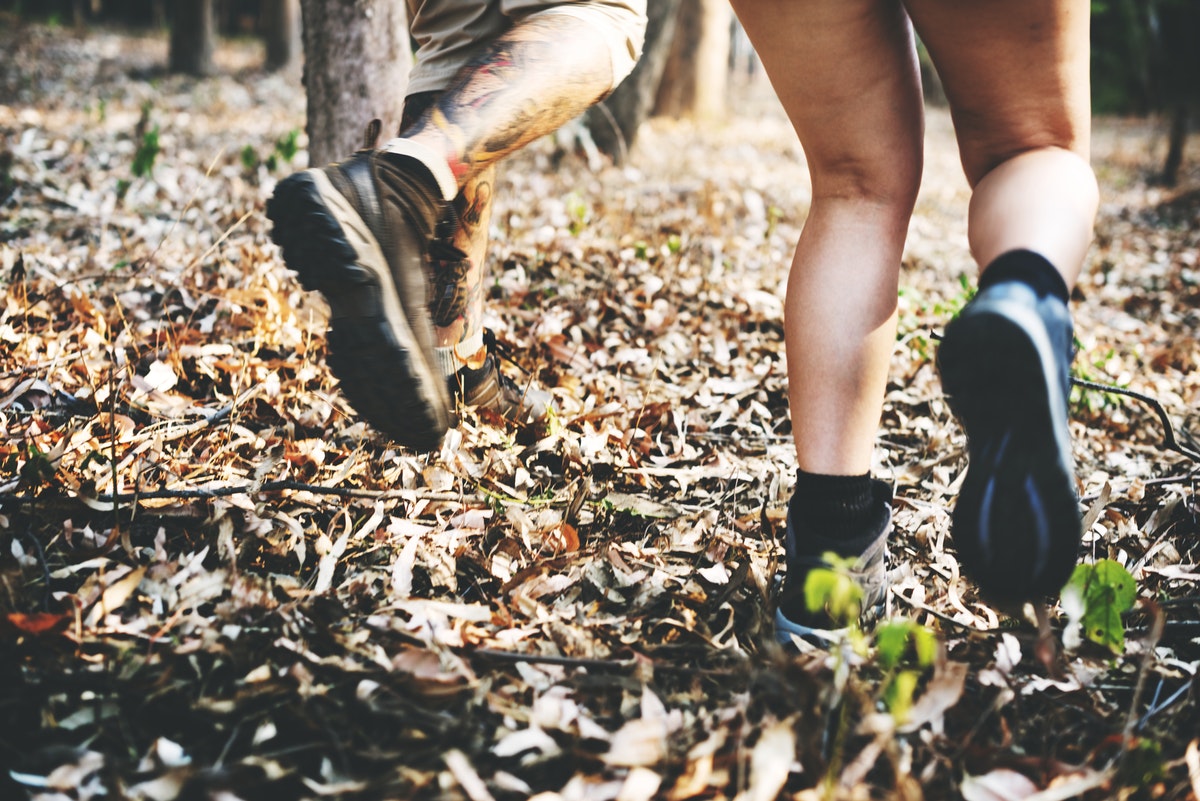 Empower Your Wellness Habits