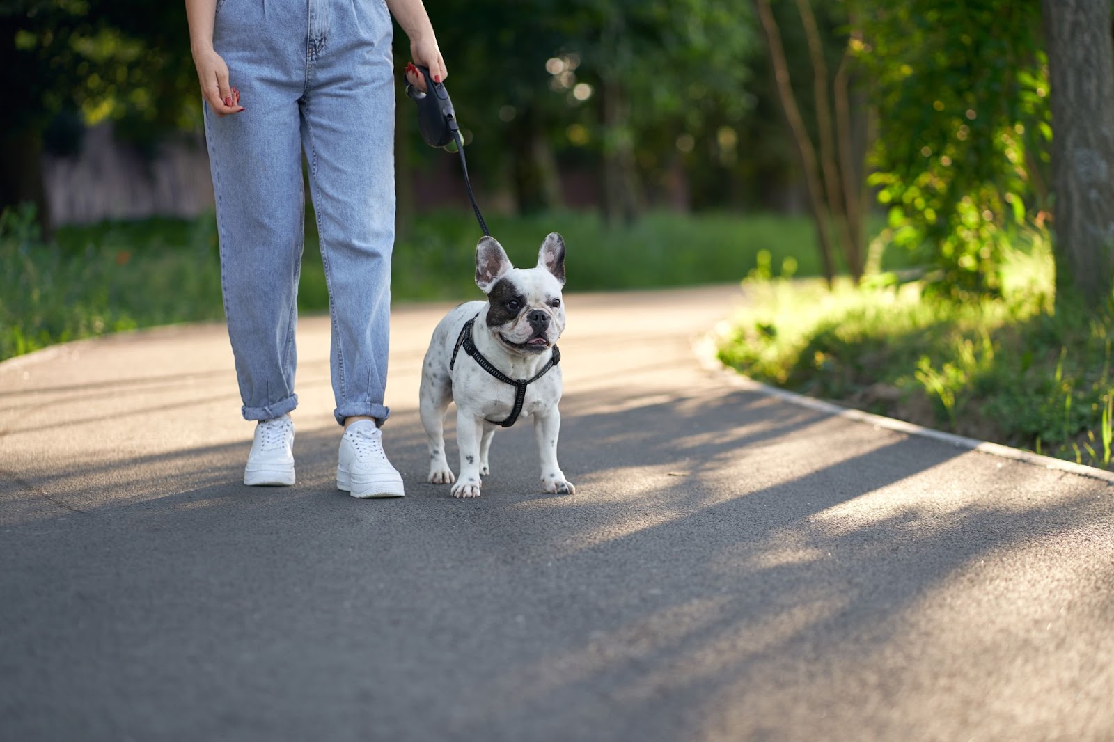 Man walking a dog as a side hustle