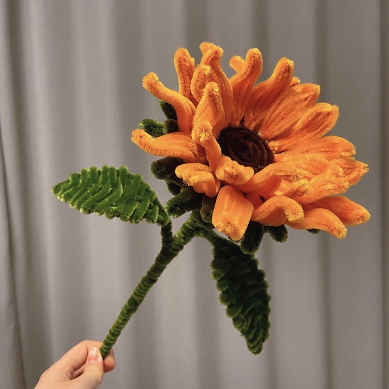Hoa kẽm nhung - Một loại hoa độc đáo và đẹp mắt - 2