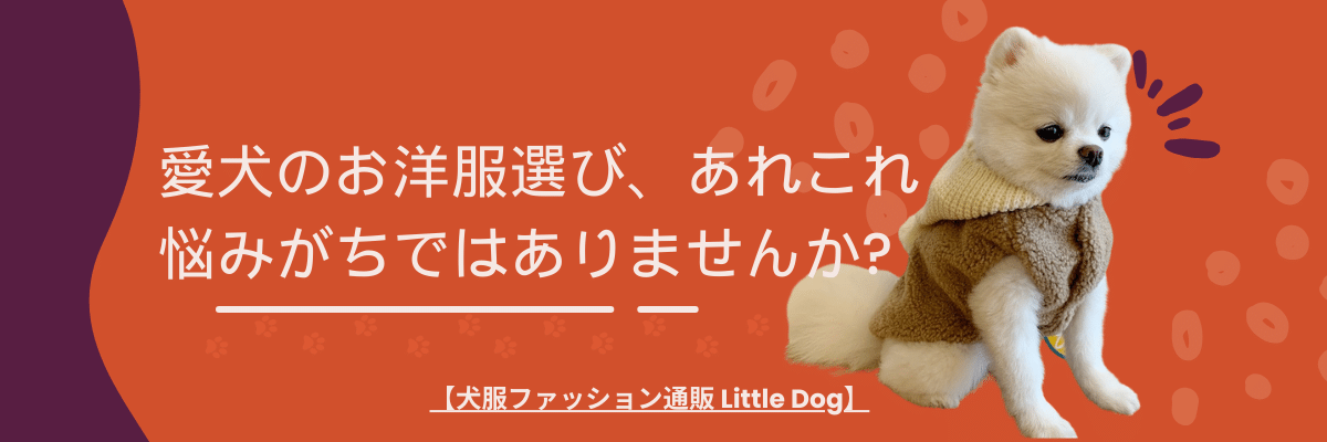 愛犬のお洋服選び、あれこれ悩みがちではありませんか?